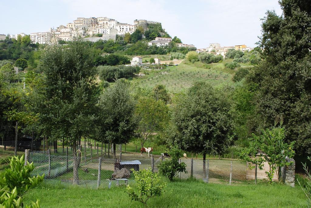 Agriturismo L'Arca Di Anna Brambilla Бельведере-Мариттімо Екстер'єр фото